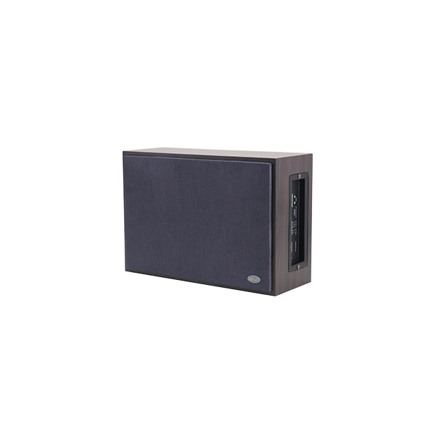 网络壁挂扬声器DSP406N
